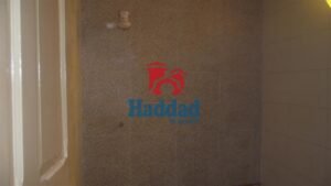 DSCF3690