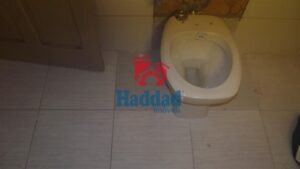 DSCF3691