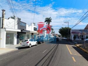 IMG-20250322-WA0003
