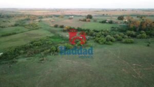 Imóvel com Alto Potencial de Valorização! AREA 124.000 m², ANEXA A CIDADE DE BIRIGUI SP Ref: 6964