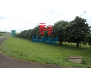 Referência: 8325 - DSC07021