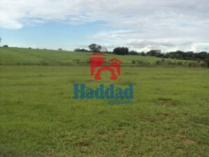 Referência: 8325 - DSC07028