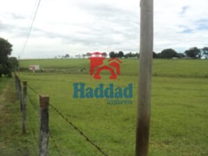 Referência: 8325 - DSC07029