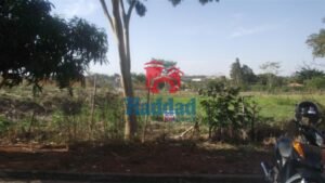 ÁREA A VENDA EM BIRIGUI COM 1.675M² PRÓXIMO A ROD. DEP. ROBERTO ROLLEMBERG Ref: 10735