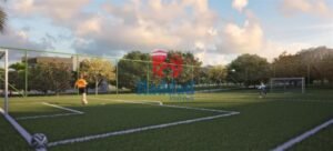 06725_campo_final0000