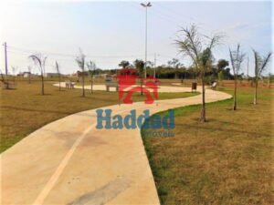 ULTIMOS LOTES DE LOTEAMENTO RESIDENCIAL EM BIRIGUI SP Ref: 10973 - DSC02155