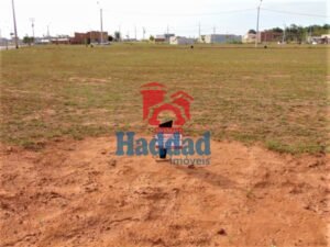 ULTIMOS LOTES DE LOTEAMENTO RESIDENCIAL EM BIRIGUI SP Ref: 10973 - DSC02159