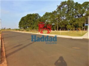 ULTIMOS LOTES DE LOTEAMENTO RESIDENCIAL EM BIRIGUI SP Ref: 10973 - DSC02160