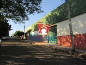 Referência: 11761 - IMG_0992