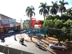 Referência: 11781 - F11781Y