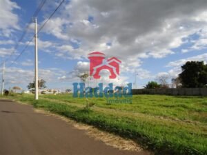 Referência: 12463 - DSC06455