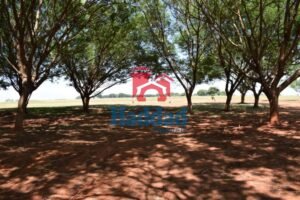 O melhor e mais completo Loteamento Fechado às margens da Represa da Usina Nova Avanhandava já estamos vendendo !!! Procure nossos corretores para comprar seu lote. Ref: 13220 - DSC_0068