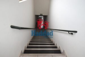 fIMG_0907
