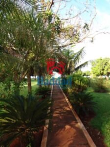 ÁREA DE TERRENO COM 16 METROS DE FRENTE POR 135 METROS DE FRENTE AOS FUNDOS AS MARGENS DO RIO TIETÊ. Ref: 15006 - 315376041_627962945695704_623245110223980171_n