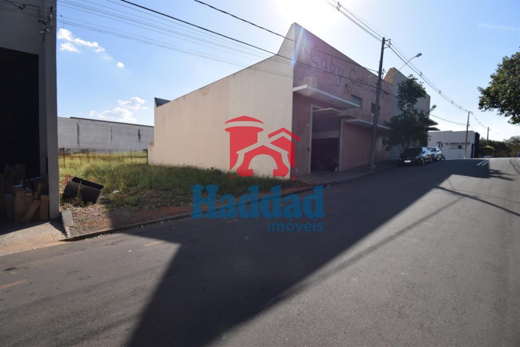 Referência: 5990 - DSC_0008