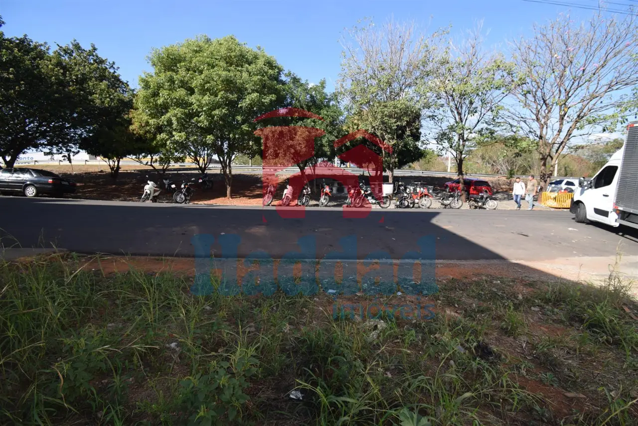 Referência: 5990 - DSC_0011