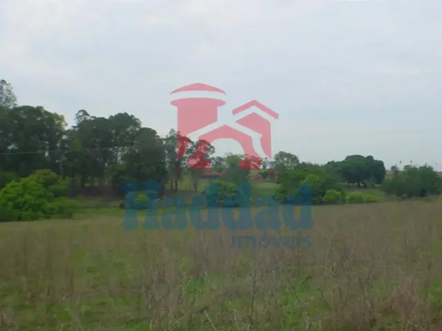 Imóvel com Alto Potencial de Valorização! AREA 124.000 m², ANEXA A CIDADE DE BIRIGUI SP Ref: 6964 - F06964CT.JPG