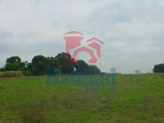 Imóvel com Alto Potencial de Valorização! AREA 124.000 m², ANEXA A CIDADE DE BIRIGUI SP Ref: 6964 - F06964CW.JPG