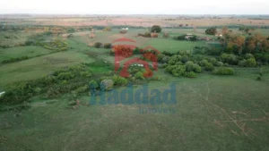 Imóvel com Alto Potencial de Valorização! AREA 124.000 m², ANEXA A CIDADE DE BIRIGUI SP Ref: 6964 - WhatsApp Image 2019-09-27 at 18