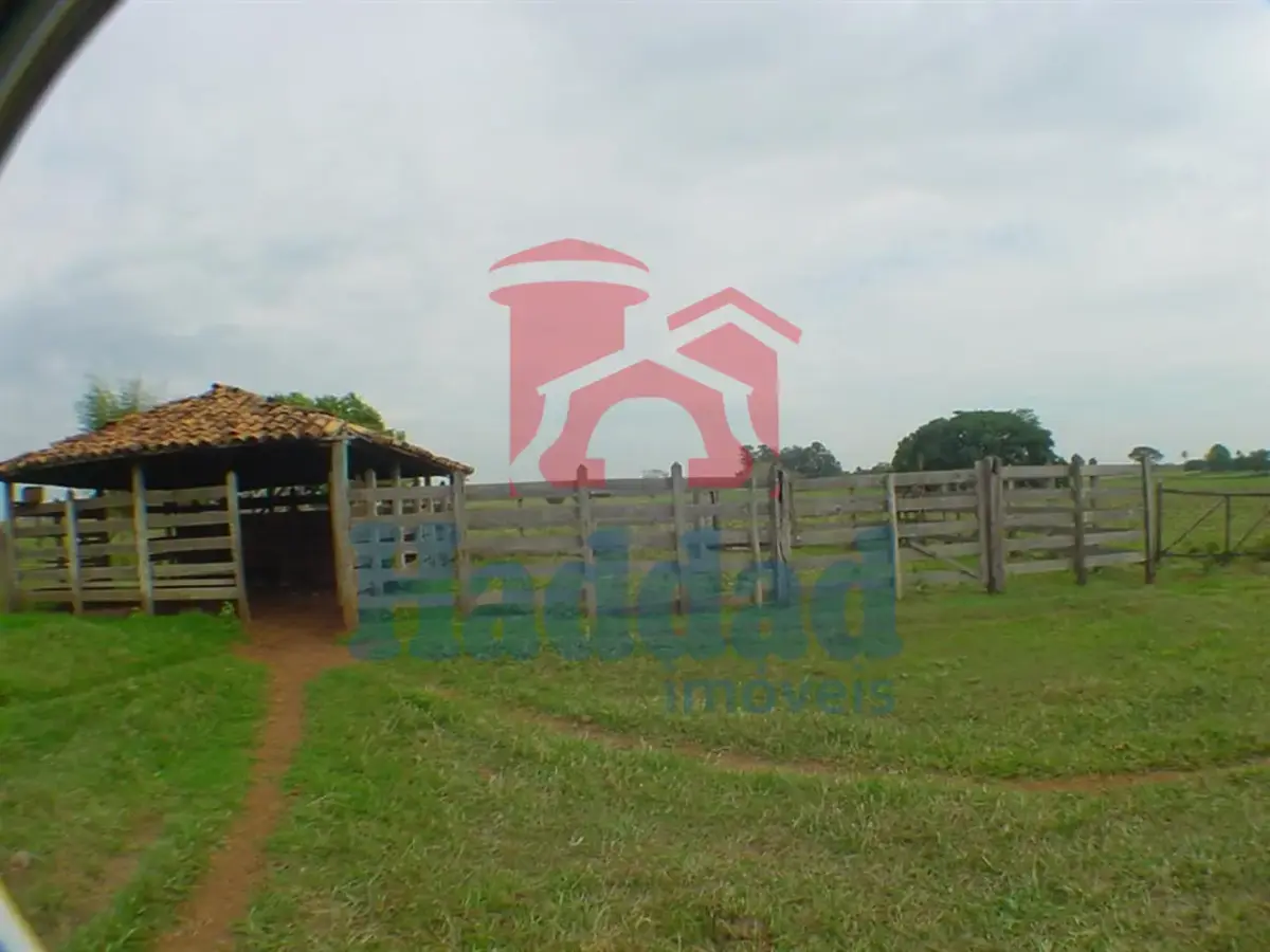 Imóvel com Alto Potencial de Valorização! AREA 124.000 m², ANEXA A CIDADE DE BIRIGUI SP Ref: 6964 - F06964M.JPG