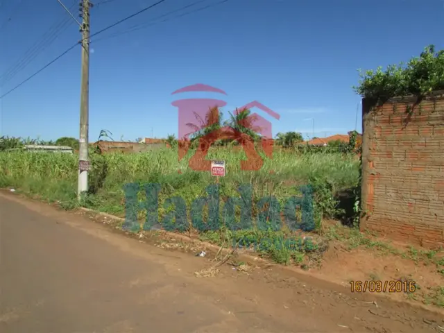 TERRENO COM 250m² A VENDA EM BIRIGUI SP Ref: 10526 - IMG_0110